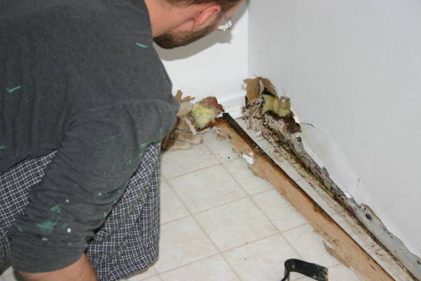 a handyman of sorts fixing his wall.