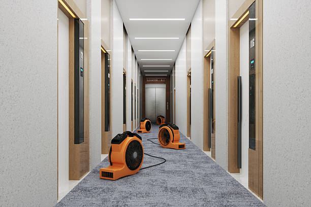 hotel corridor with air movers drying wet carpet